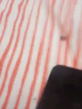 MRbigc23 online show from 31, 5, 2026