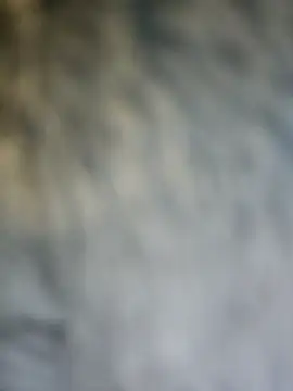 PhoenixDesirexh online show from 4, 4, 2026