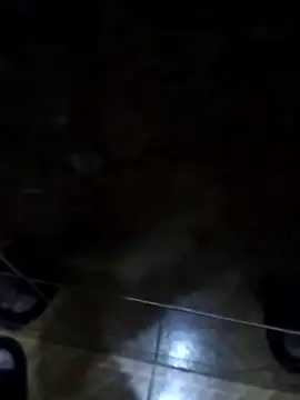 diego5472 online show from 7, 11, 2025