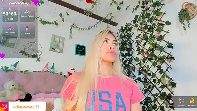 steewart  online show from 29, 12, 2024