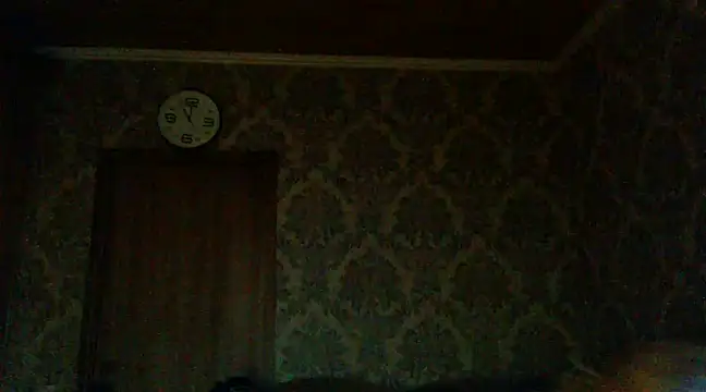 WildMissNiks online show from 2, 12, 2024