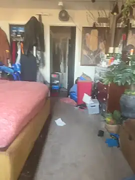 PrinceNoAlbert online show from 13, 3, 2026