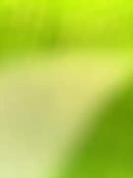 Dhiyapink online show from 21, 12, 2024