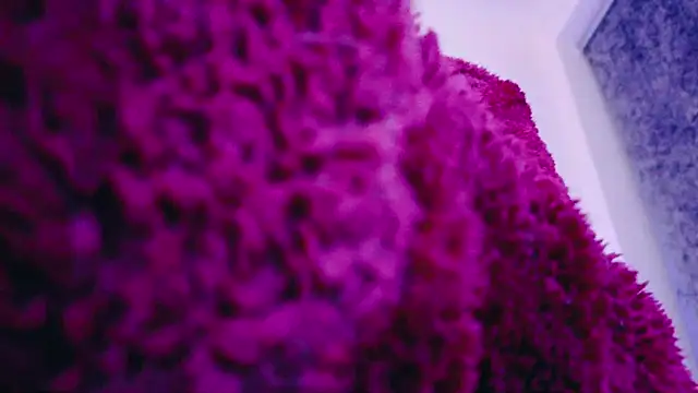 FemDom RubyKnightXXO online show from 18, 3, 2025