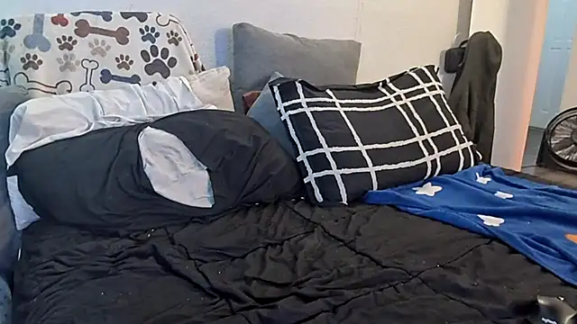 Snapshot of pyrowuff chatting on 19, 1, 2026 pyrowuff online show from 19, 1, 2026