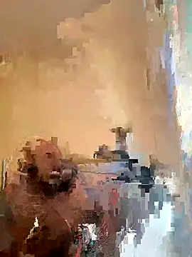 Snapshot of DancingLemonade chatting on 2, 11, 2025 DancingLemonade online show from 2, 11, 2025