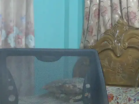 NancyRuvi online show from 9, 9, 2025