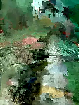 Subhajit12Jana23 online show from 19, 3, 2026