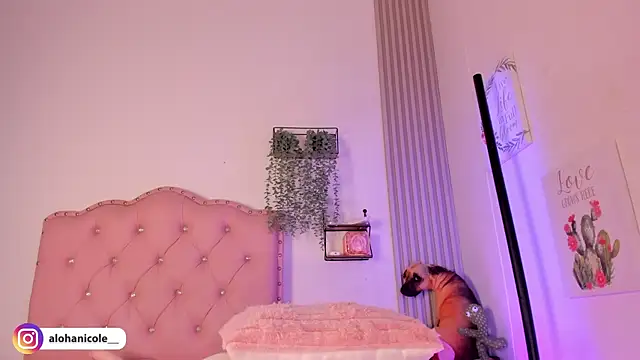 sweet nicole 11 online show from 1, 12, 2025