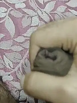 rockkyy9 online show from 11, 10, 2025