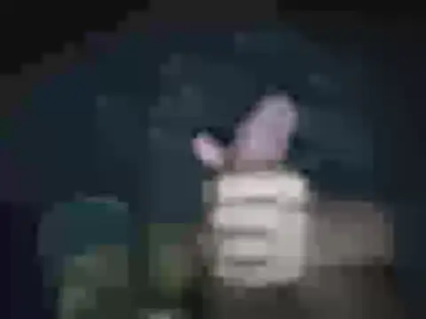 jheisonct online show from 2, 4, 2026