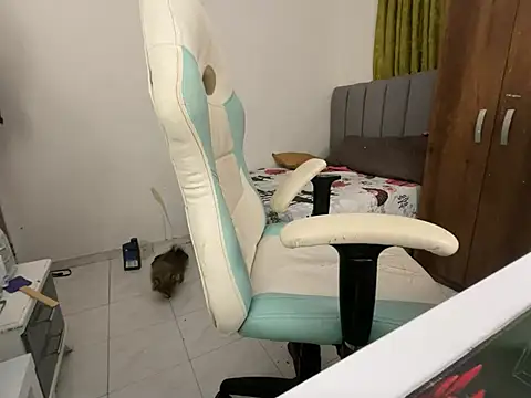 Max TheHorseDick online show from 14, 12, 2024