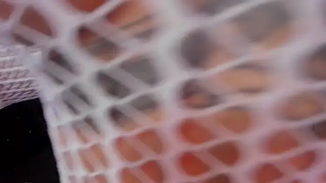 rosalia-04 online show from 10, 11, 2025