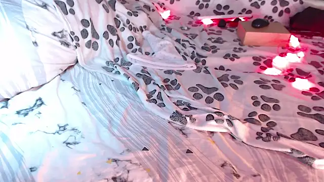 Q T pie online show from 3, 1, 2025