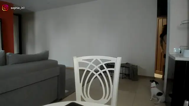  in yan online show from 18, 2, 2026