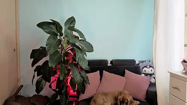 Snapshot of melisa_es chatting on 5, 2, 2026 melisa es online show from 5, 2, 2026