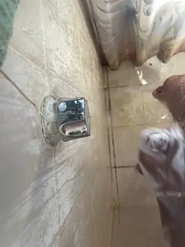 Snapshot of MisaelR10 chatting on 23, 9, 2025 MisaelR10 online show from 23, 9, 2025