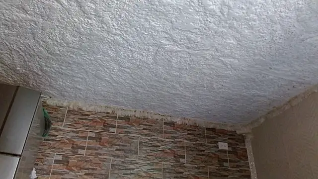 Snapshot of omar_alurba chatting on 17, 2, 2026 omar alurba online show from 17, 2, 2026