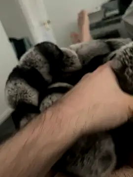 Furdale online show from 3, 12, 2024