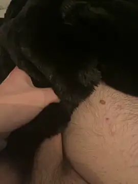 Furdale online show from 10, 12, 2024