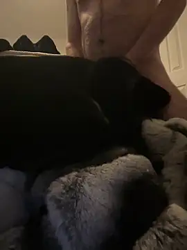 Furdale online show from 30, 12, 2024