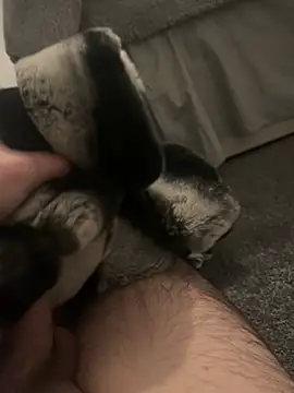 Furdale online show from 7, 1, 2025