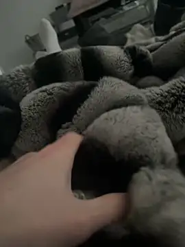 Furdale online show from 9, 1, 2025