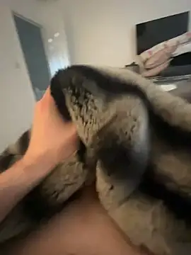 Furdale online show from 8, 2, 2025