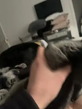 Furdale online show from 16, 2, 2025