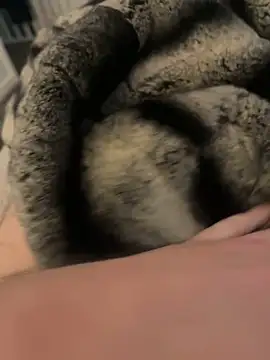 Furdale online show from 17, 2, 2025