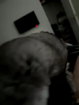 Furdale online show from 2, 10, 2025