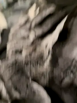 Furdale online show from 31, 10, 2025