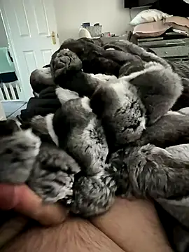 Furdale online show from 15, 11, 2025