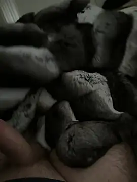 Furdale online show from 14, 1, 2026