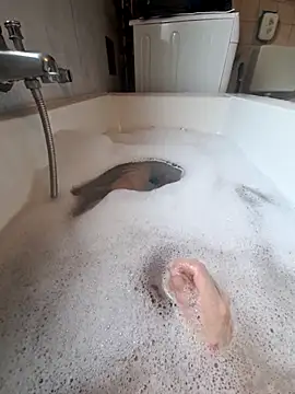 toeloverlive online show from 12, 3, 2026