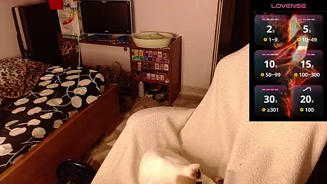 Snapshot of Apolo_S chatting on 14, 2, 2026 Apolo S online show from 14, 2, 2026