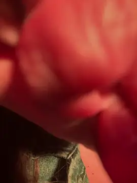 Im sophiie online show from 13, 2, 2025