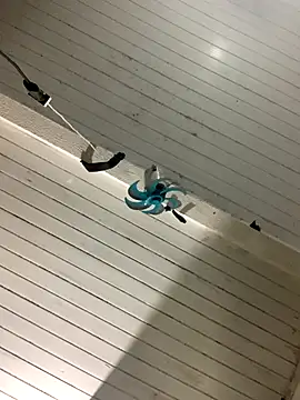 Snapshot of raphadoors19 chatting on 17, 12, 2025 raphadoors19 online show from 17, 12, 2025