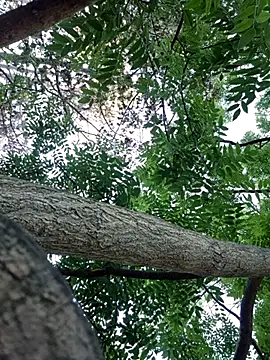 Snapshot of Keli_Jessi chatting on 14, 9, 2025 Keli Jessi online show from 14, 9, 2025