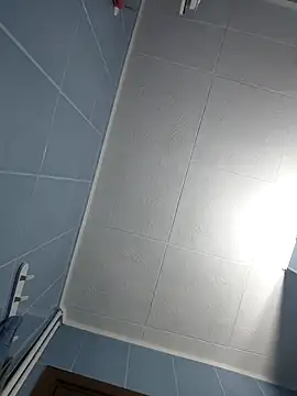 Snapshot of Govora chatting on 29, 12, 2024 Govora online show from 29, 12, 2024