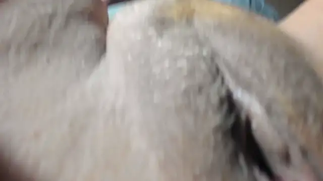 FrumCake online show from 27, 12, 2024