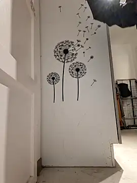 Percy ohv online show from 20, 4, 2026