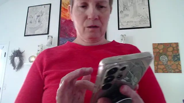 AuroraWillows online show from 17, 1, 2026