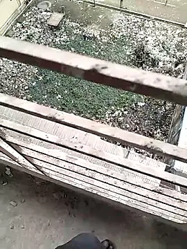 chittagong77 online show from 22, 2, 2026