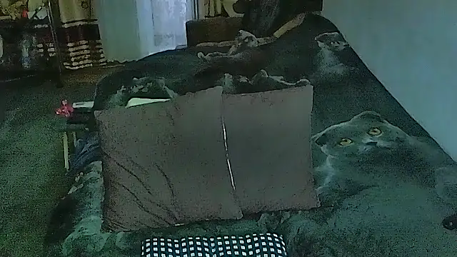 Snapshot of sex2 chatting on 9, 4, 2026 sex2 online show from 9, 4, 2026