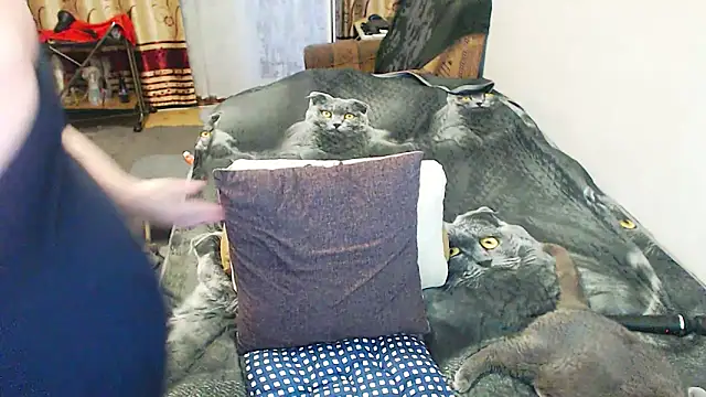 Snapshot of sex2 chatting on 31, 5, 2026 sex2 online show from 31, 5, 2026