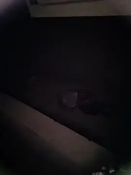 Pitercom online show from 9, 1, 2026