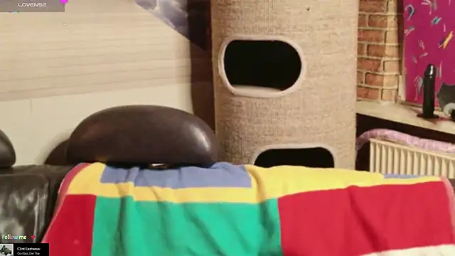 Snapshot of GamerGirl_Eve chatting on 1, 2, 2026 GamerGirl Eve online show from 1, 2, 2026