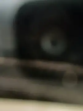 Snapshot of hornydick4you chatting on 2, 3, 2025 hornydick4you online show from 2, 3, 2025