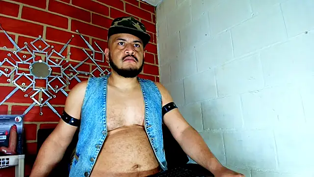 the master foal  online show from 17, 11, 2025